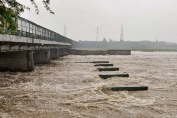 Yamuna River (Pic Via Twitter)