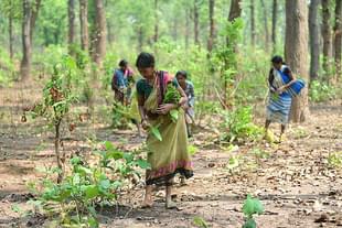 Tribal women of Chhattisgarh