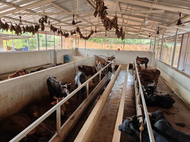 A view of the Gau Seva Kendra.