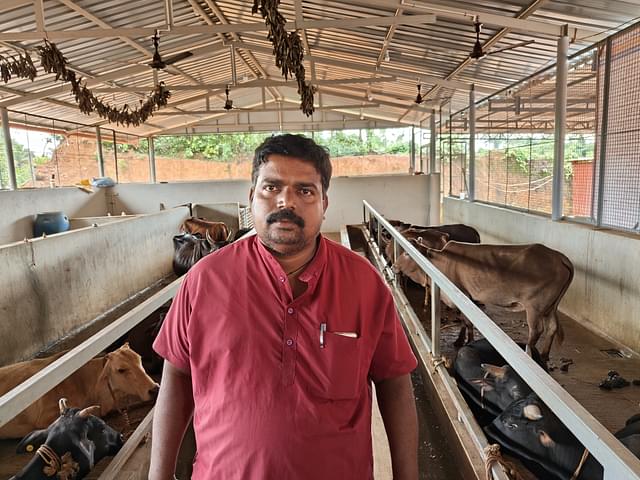 Prasad Havanji's organisation takes care of 90-odd cattle, including bulls, cows and buffaloes. 