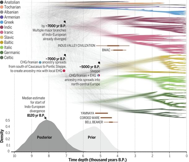 Language trees time chart (Heggarty, et.al., 2023) (Open in new tab enlarge)
