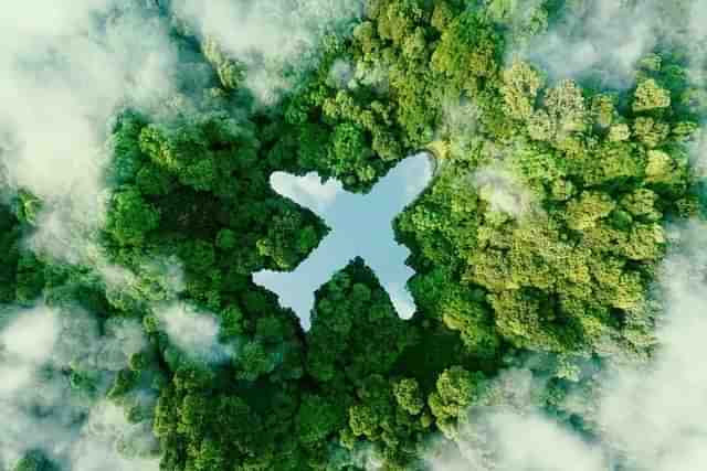 Sustainable aviation. Representative image (petrmalinak/Shutterstock)