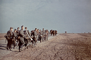 Second World War Wehrmacht German soldiers following horse-drawn carts during operation Barbarossa in June-July 1941 (Photo: tormentor4555/Wikimedia Commons)