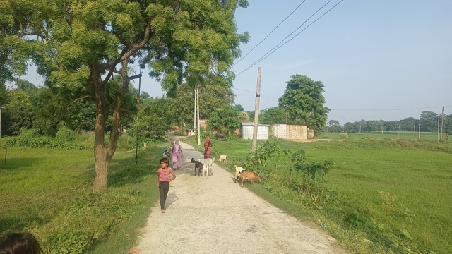 Inside the Dumri kalan village
