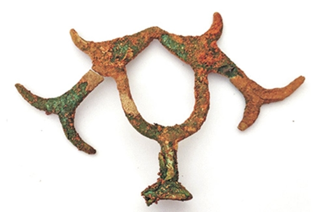 S Krishnan/Twitter (ASI)