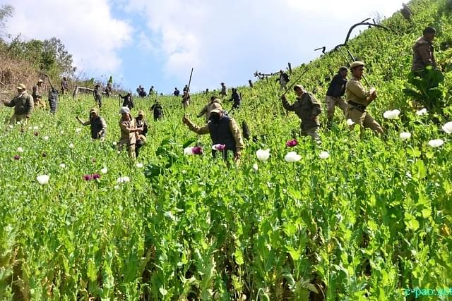 Manipur Police destroying a poppy crop cultivated by Kukis