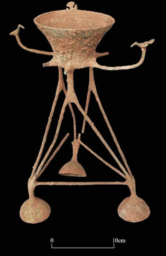 S Krishnan/Twitter (ASI)