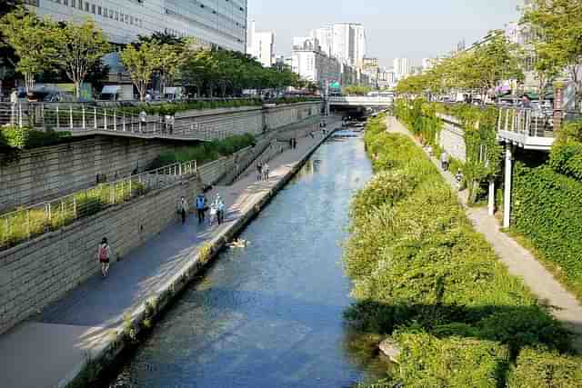 The plan includes the creation of well-connected landscapes along the water body's expanse. (Representative Image)