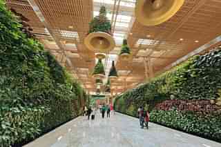 Green Foliage Bengaluru's New Airport Terminal (Image: Author)