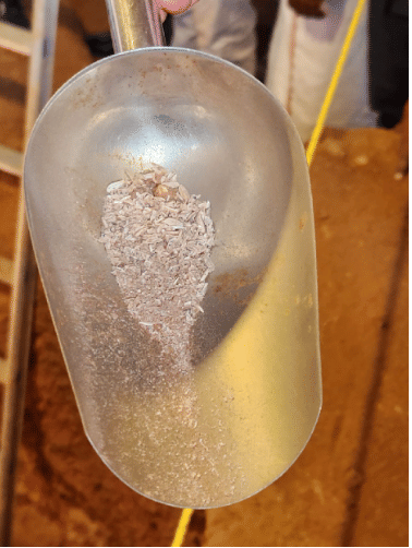 Husk recovered from the site. (ASI)