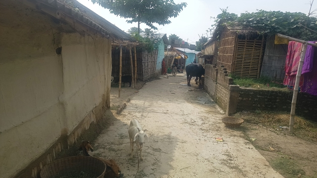 Inside the Dumri kalan village