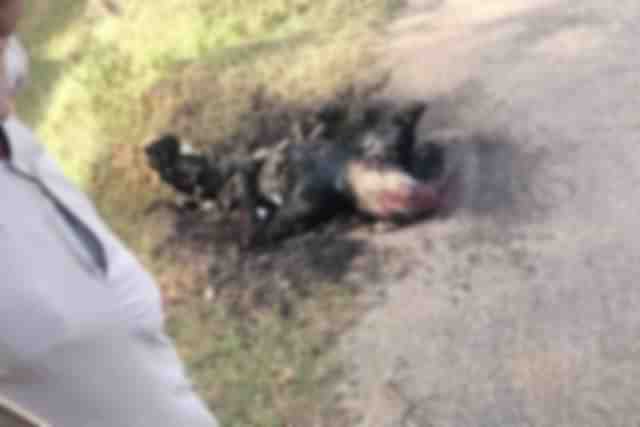 Blurred image of found charred body