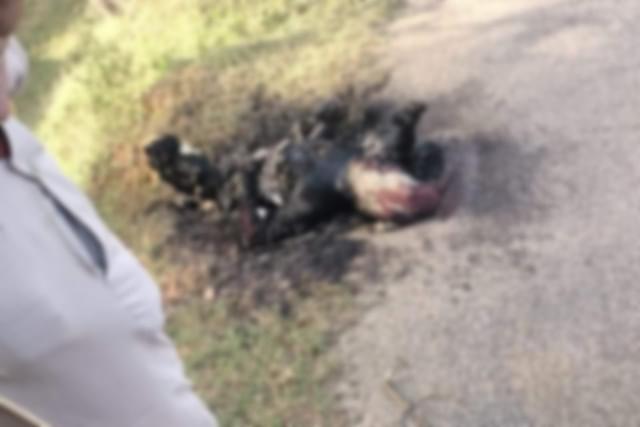 Blurred image of found charred body