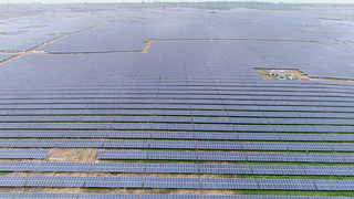 The Rewa Ultra Mega Solar Plant (Source: MP Government)