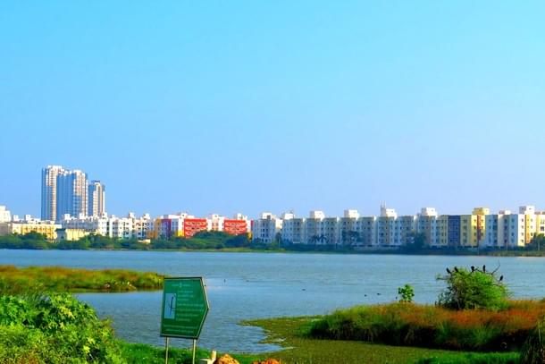 450-acre Perumbakkam Lake in Chennai (Picture Credits:Indian Columbus)