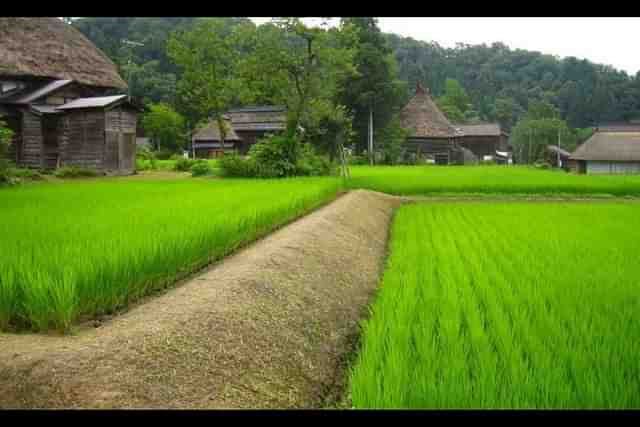 Japanese Farmland(Ecologist)