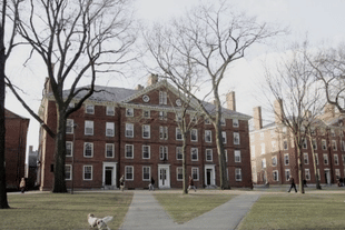Harvard University (Joe Raedle/Getty Images)