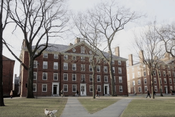 Harvard University (Joe Raedle/Getty Images)