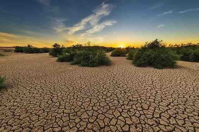 Between 2015 and 2019, the world lost at least 100 million hectares of healthy and productive land each year.