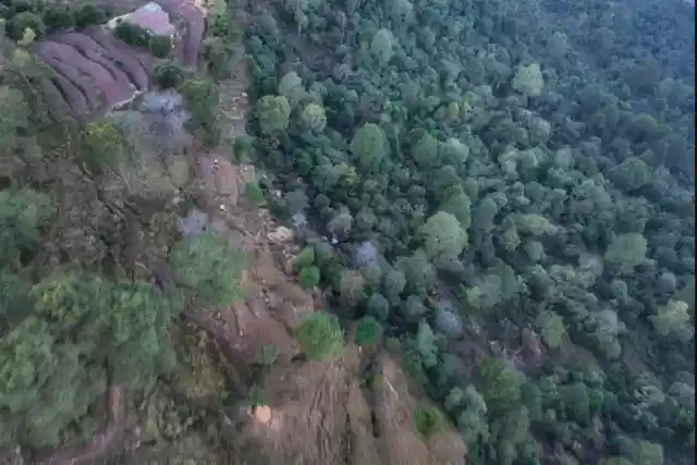 Aerial view of the thickly wooded Baajimaal forest of Rajouri (Representative Pic via X @ANI)