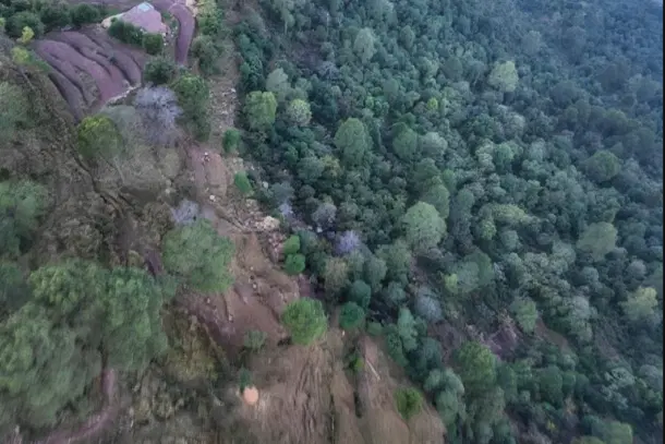 Aerial view of the thickly wooded Baajimaal forest of Rajouri (Representative Pic via X @ANI)