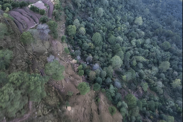 Aerial view of the thickly wooded Baajimaal forest of Rajouri where the encounter was conducted. (Pic via X @ANI)