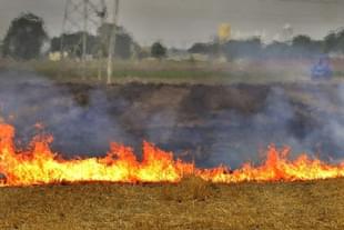 Stubble Burning (Representative image)