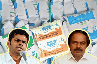 Annamalai has asked Dairy Minister Mano Thangaraj to prove his allegations