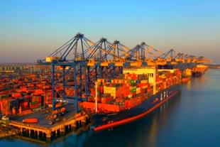 The proposed Keni Port would have modern mechanised facilities for handling cape-size vessels. (Representative image)
