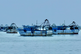 Fishing boats in Rameswaram (Photo by Chandan Chaurasia on Unsplash)
