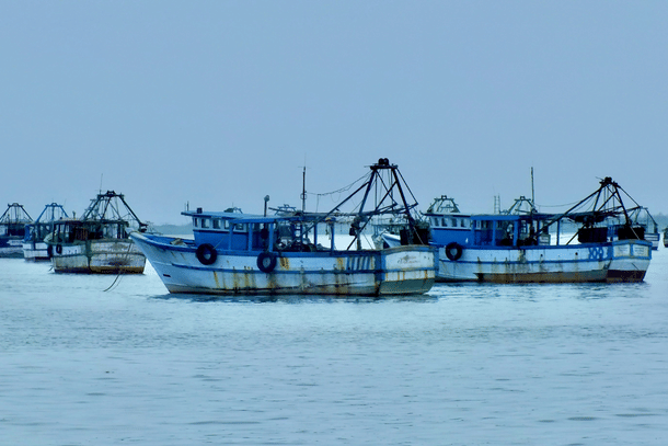 Fishing boats in Rameswaram (Photo by Chandan Chaurasia on Unsplash)