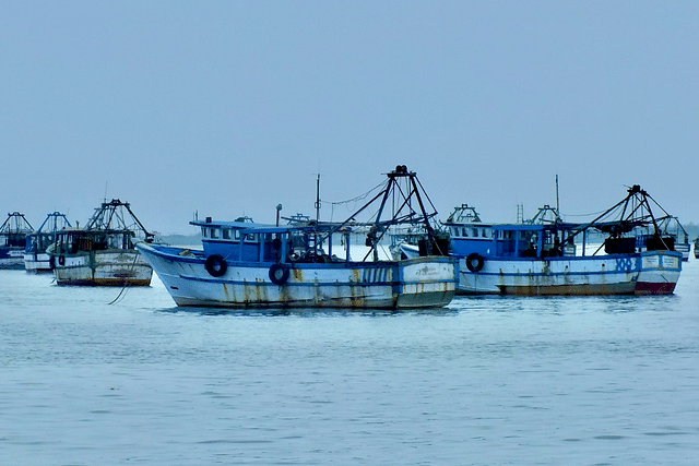 Fishing boats in Rameswaram (Photo by Chandan Chaurasia on Unsplash)