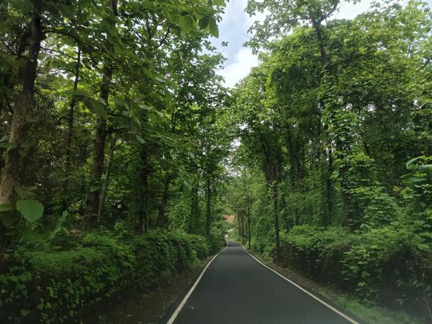 The narrow road leading up to the temple on the island.