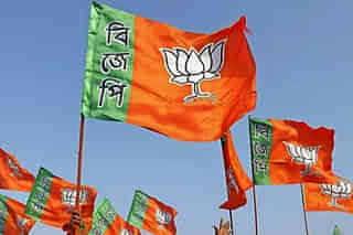 File photo of BJP flags at a party rally.