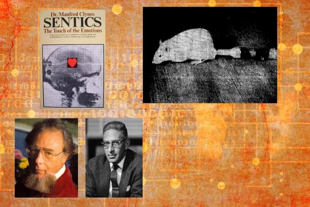 Manfred Clynes and Nathan Kline, who coined the term 'cyborg', and the first cyborg — a rat with an osmotic pump under its skin