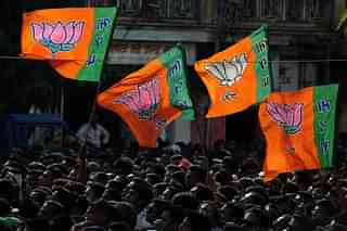 Party flags at a BJP rally. 