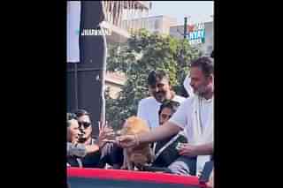 Rahul Gandhi offering dog biscuit (Still from video) 
