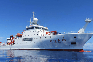 Chinese Xiang Yang Hong 03. (Representative image)