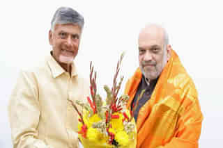 TDP Chief Chandrababu Naidu with HM Amit Shah
