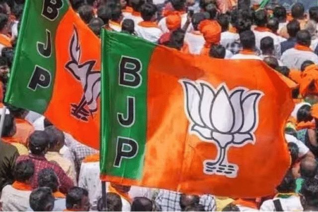 BJP flags