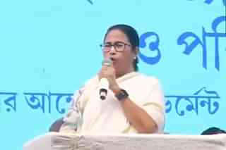 Mamata Banerjee (still from ANI video)