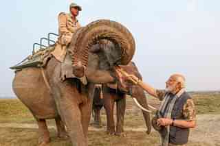 PM Modi feeding sugarcane to elephant at Kaziranga National Park