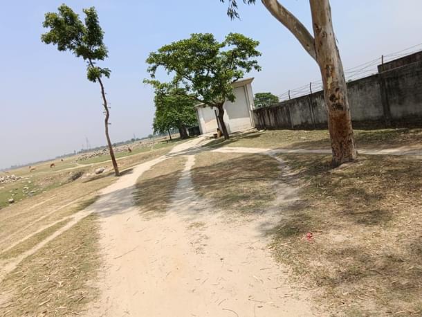 Santhals used to stay in these grasslands, now AMU campus. (Image credit: Abhishek Kumar)