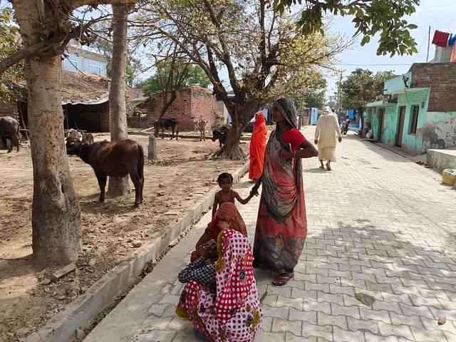 Kurmi women in Jeorah Kalyanpur on the outskirts of Pilibhit.