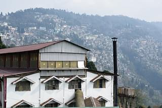 The closed factory of Happy Valley Tea Estate with Darjeeling in the backdrop. Photo credit: SAYAN SARKAR