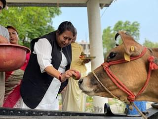 Maharani Kriti Singh Debbarma feeding a cow at the Ujjayanta Palace in Agartala
