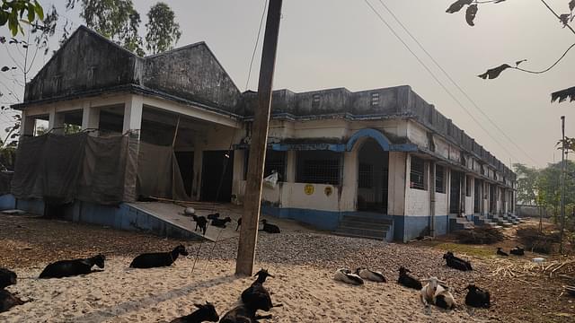 The abandoned community hall that is inhabited by cattle and goats