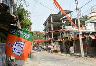 Naxalbari is awash with BJP flags and saffron buntings (Image credit: Sayan Sarkar)