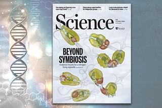 Cover of 'Science' magazine.