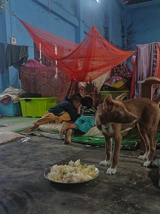 Animals and humans share space at the relief camp